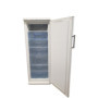 Congélateur Armoire VEDETTE CVS2311